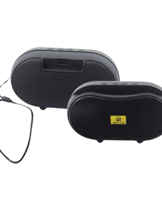 WUF-W15 Portable Wireless Speaker